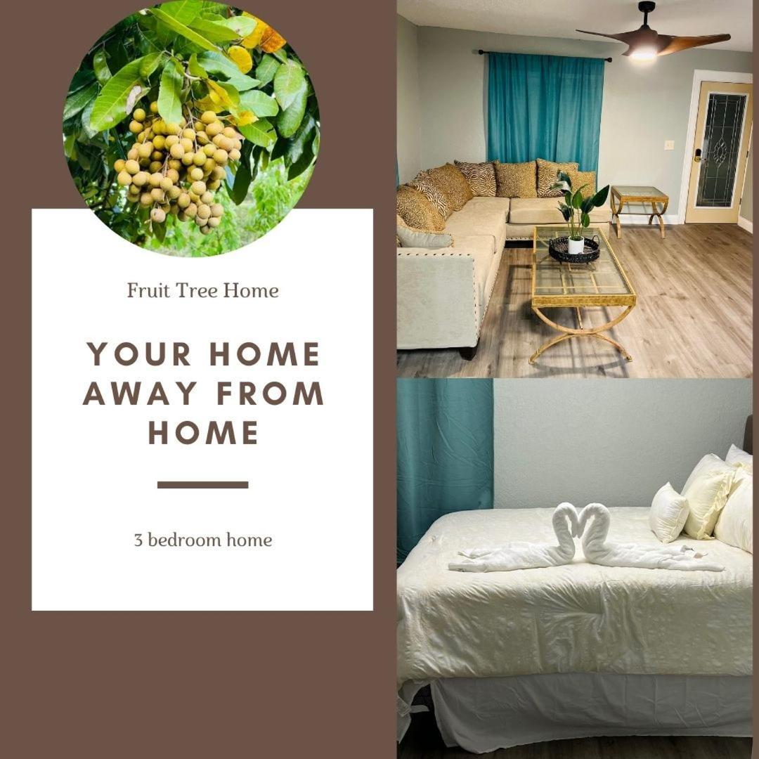 3Bdrm Fruit Tree Home Near Downtown Orlando Eksteriør billede
